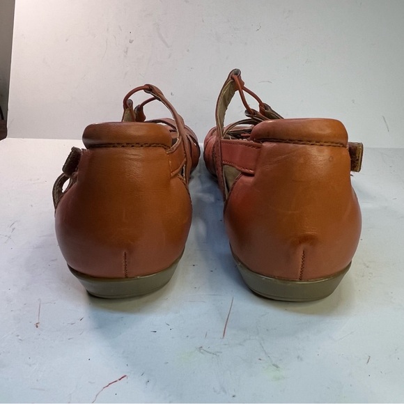 Earth Orgins 11w - Picture 9 of 13